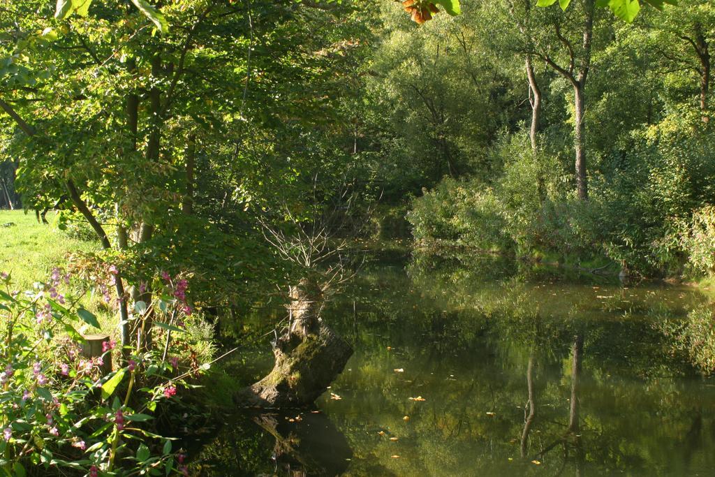 Turisticka Ubytovna Cakle Ústí nad Orlicí Exteriör bild